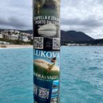 WhatsApp Image 2026-02-16 at 18.29.28 (1) WhatsApp Image 2026-02-16 at 18.29.28 (1)