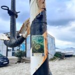 WhatsApp Image 2026-02-16 at 18.29.44 WhatsApp Image 2026-02-16 at 18.29.44